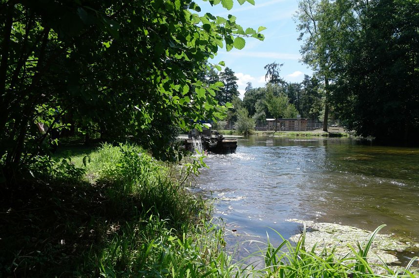 Der Gondelteich wird gem&auml;ht