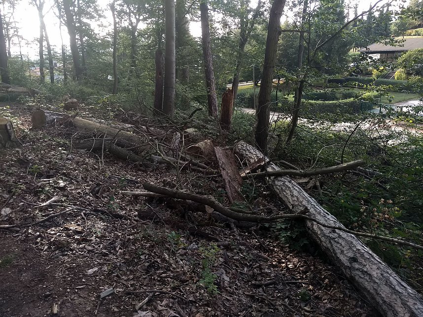 Am Nordh&auml;user Kuhberg