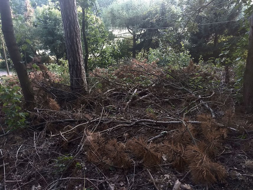 Am Nordh&auml;user Kuhberg