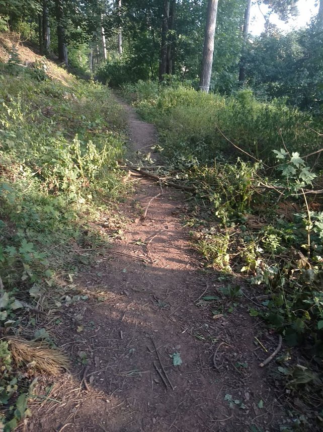 Am Nordh&auml;user Kuhberg