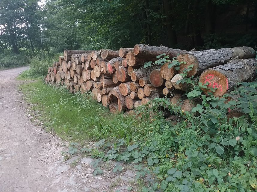 Am Nordh&auml;user Kuhberg