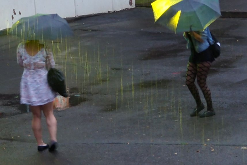 Open-Air-Dancefloor im Gehege