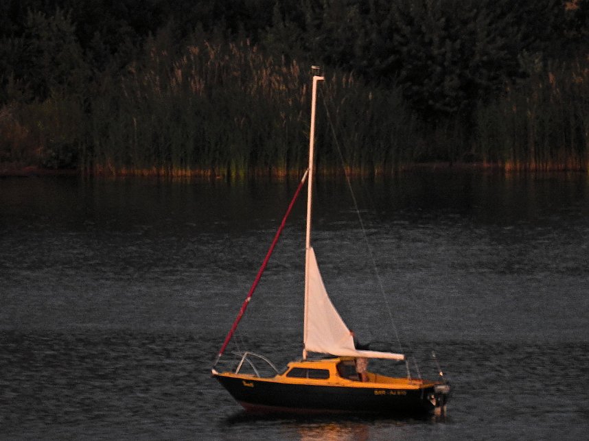 Spinnen im Mondschein am Goitzsche See