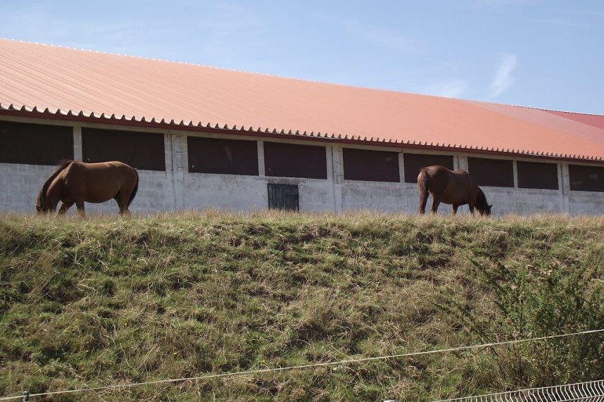Ein Besuch auf der Forst-Farm