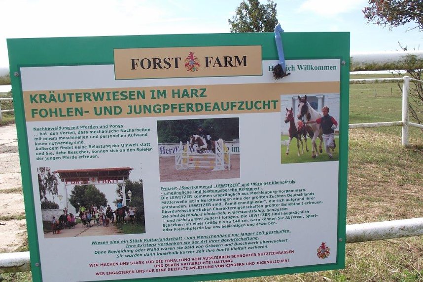 Ein Besuch auf der Forst-Farm