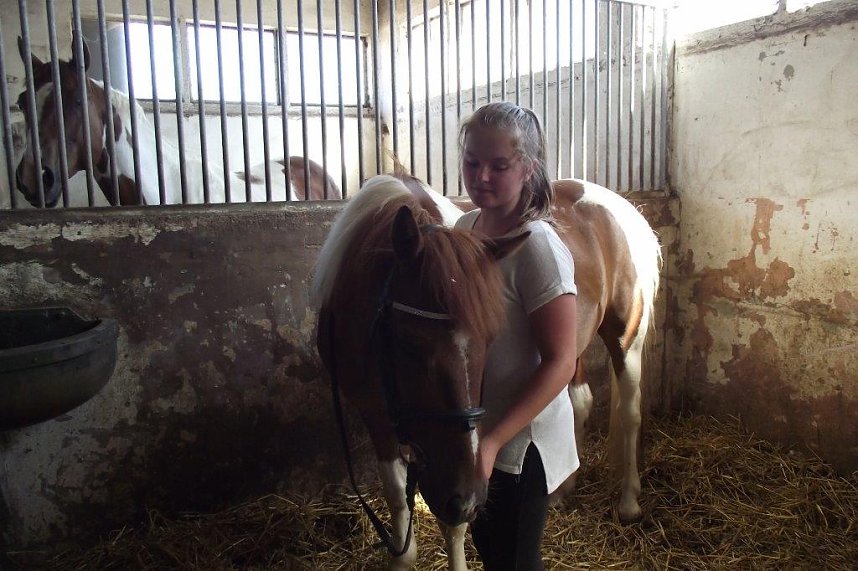 Ein Besuch auf der Forst-Farm