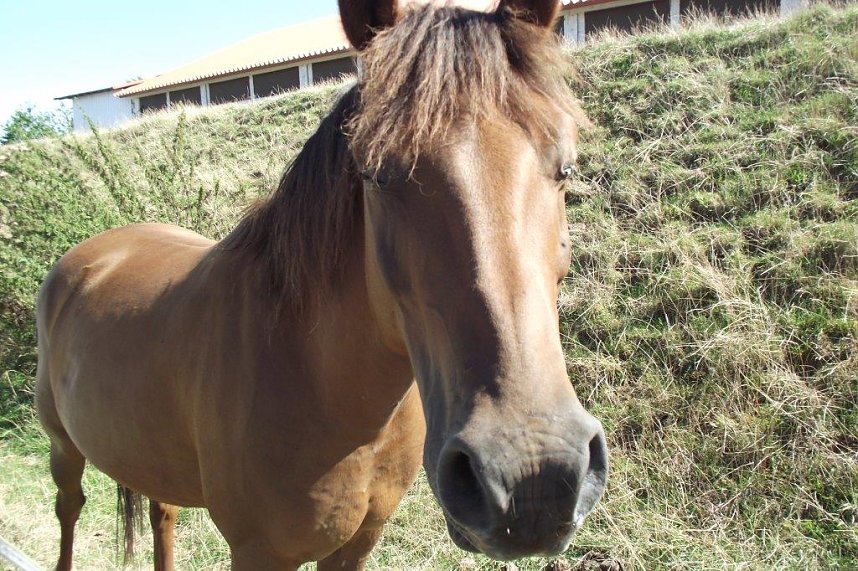 Ein Besuch auf der Forst-Farm