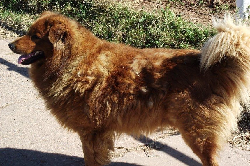 Ein Besuch auf der Forst-Farm
