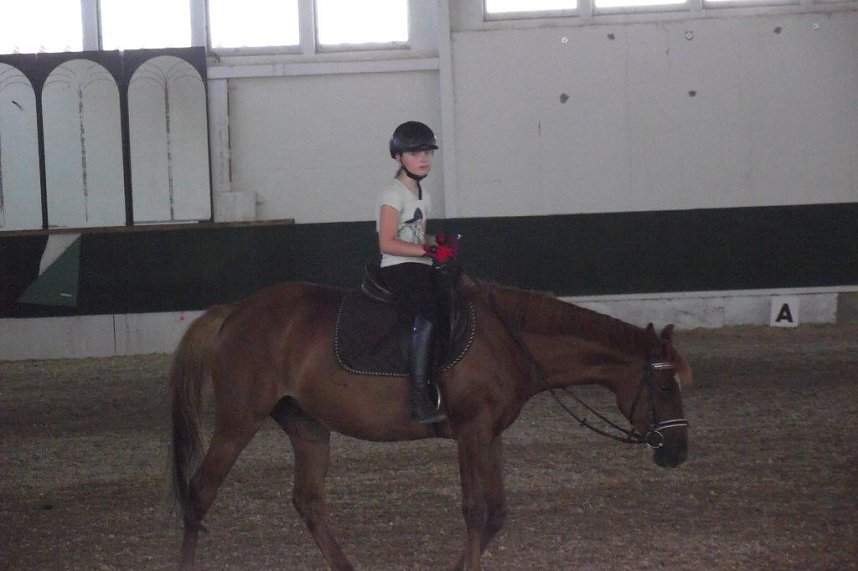 Ein Besuch auf der Forst-Farm