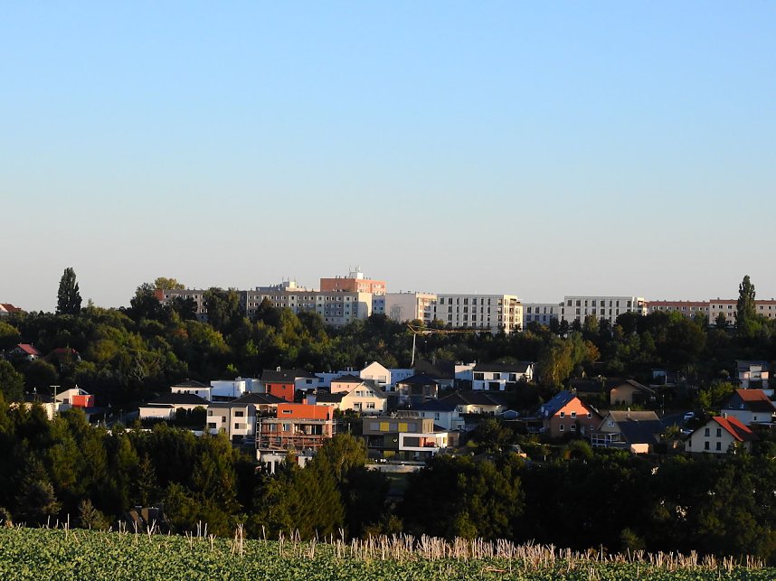 Sonnenuntergang &uuml;ber dem S&uuml;dharz