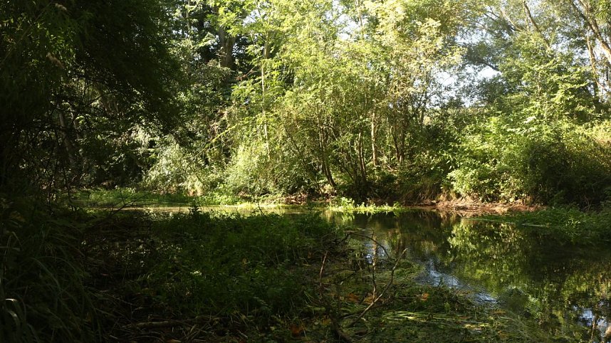 Besuch am Grundlosen Loch - der Naturpark S&uuml;dharz soll weiter ausgebaut werden
