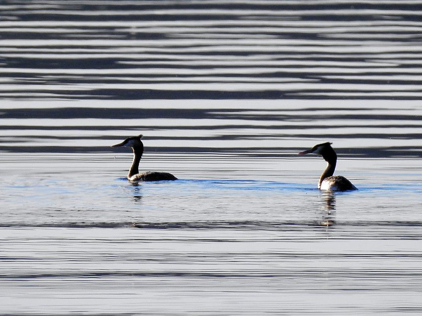 Badespa&szlig; am See