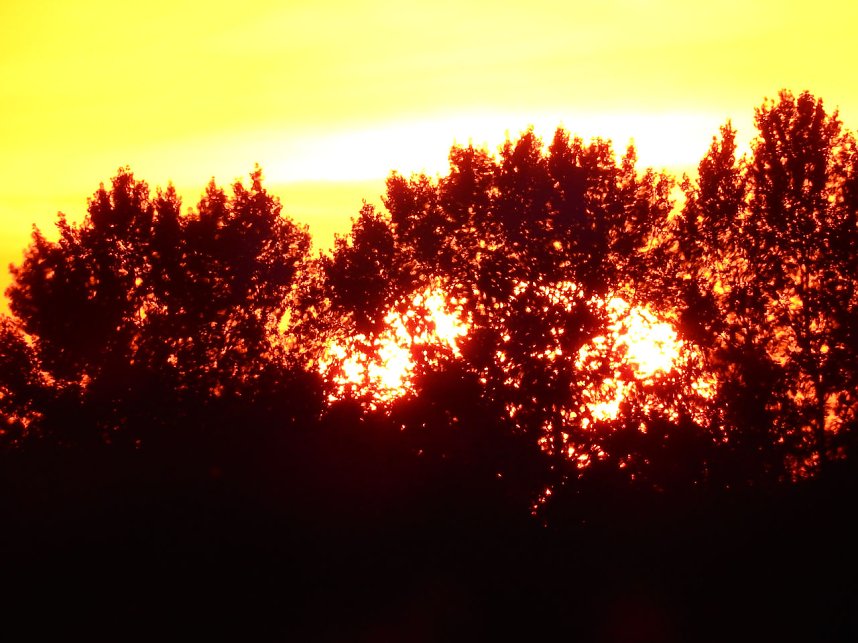 Badespa&szlig; am See