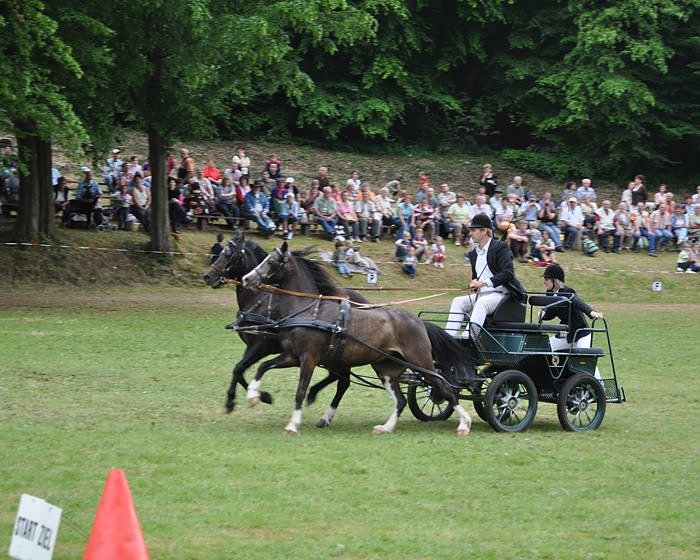 Ponyfest W&uuml;lfingerode