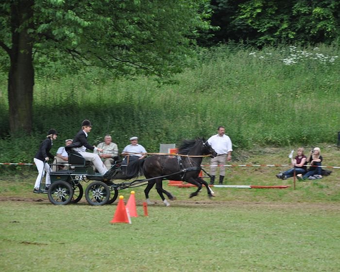 Ponyfest W&uuml;lfingerode