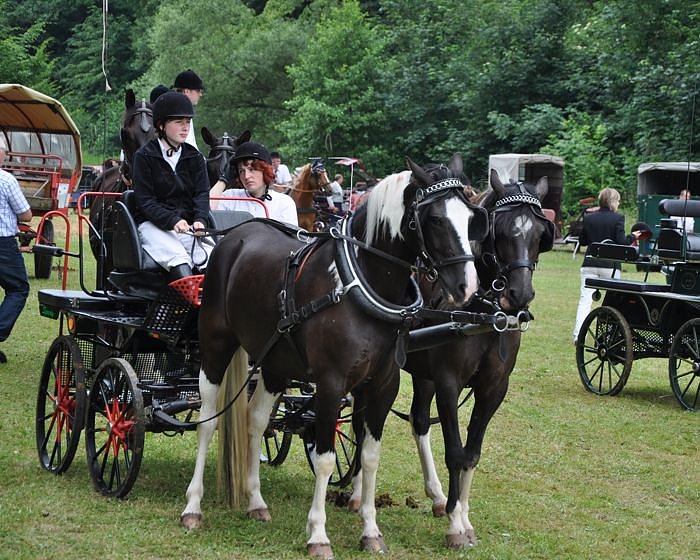 Ponyfest W&uuml;lfingerode