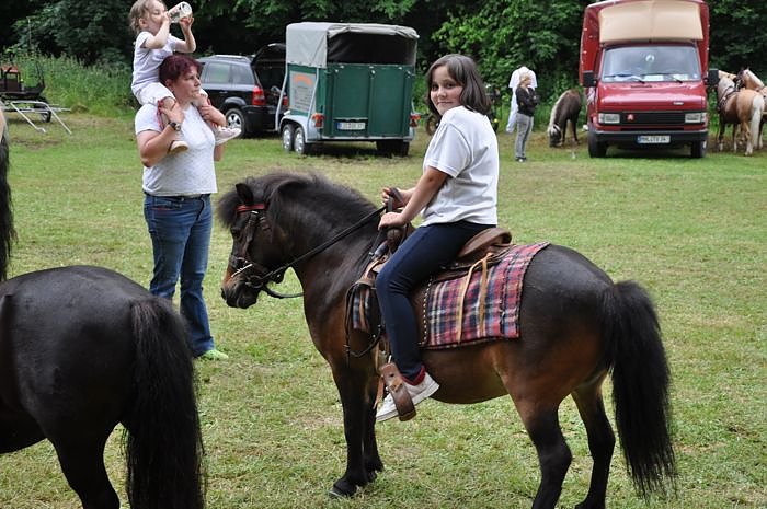 Ponyfest W&uuml;lfingerode