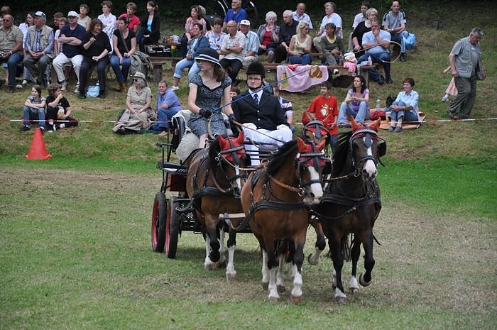 Ponyfest W&uuml;lfingerode