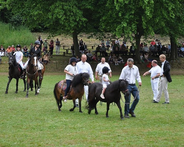 Ponyfest W&uuml;lfingerode