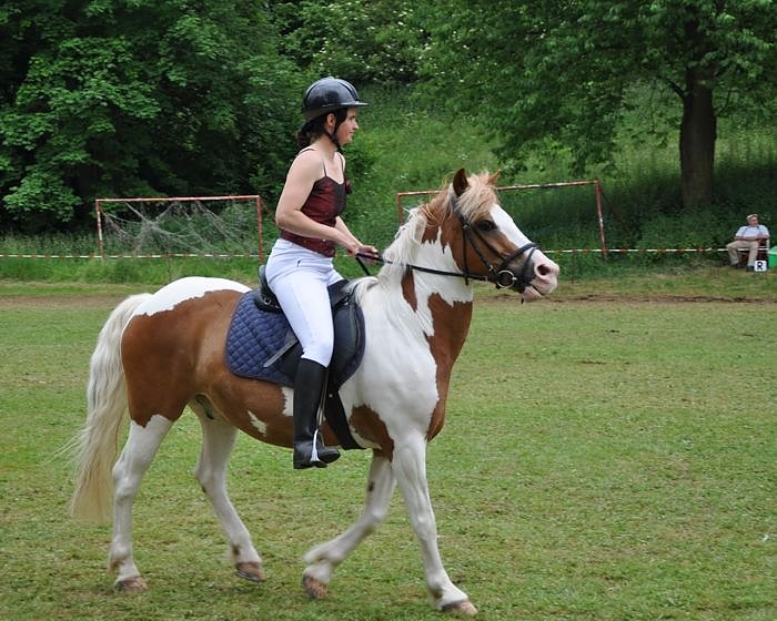 Ponyfest W&uuml;lfingerode