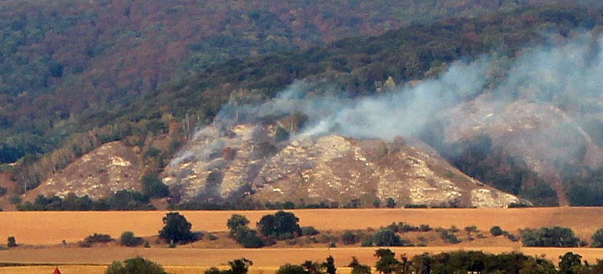 Schwerer Waldbrand am Kyffh&auml;user