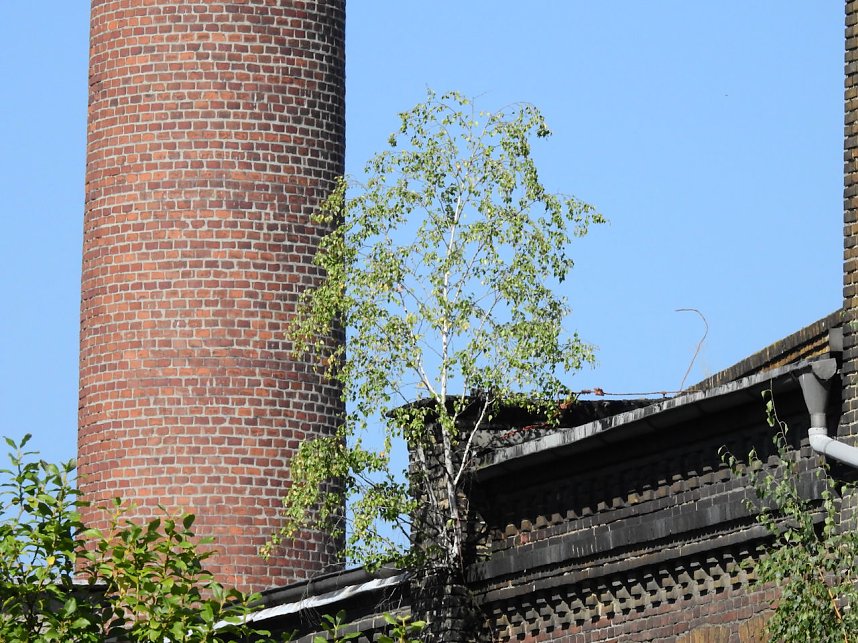 Malzfabrik K&ouml;then