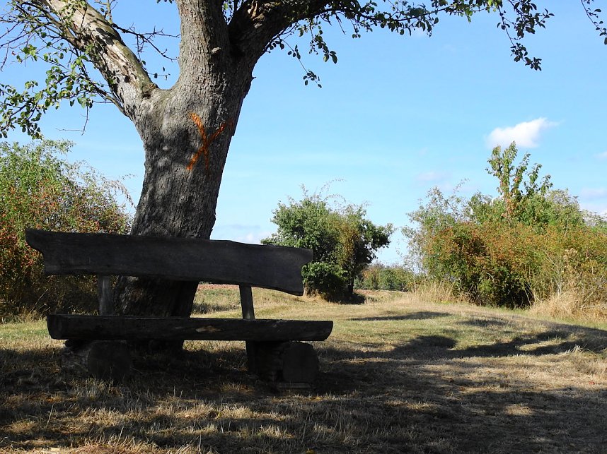 2. Seifenkisten-Cross in Leimbach