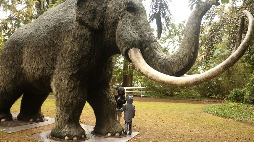 M&auml;rchenpicknick im Kunsthaus Meyenburg