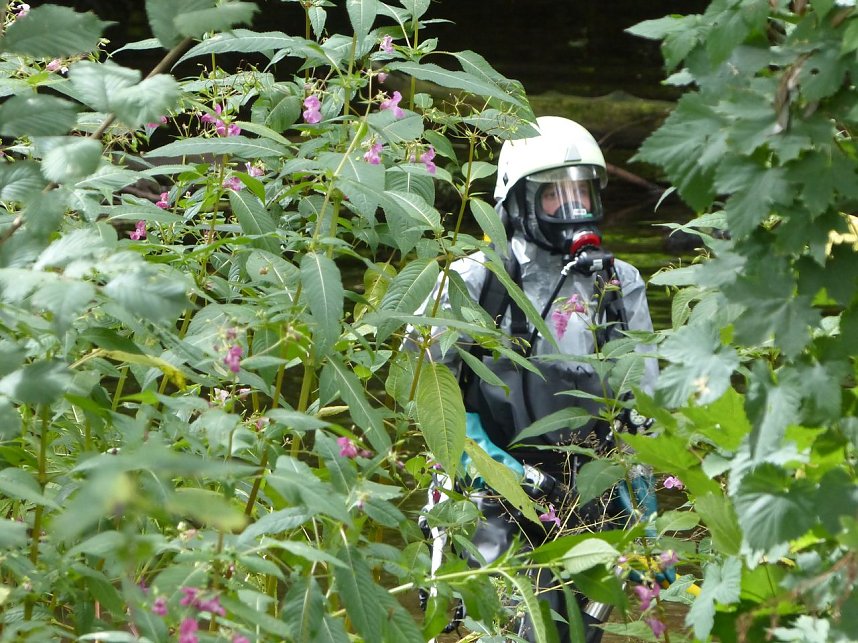 L&ouml;sungsmittel ausgelaufen