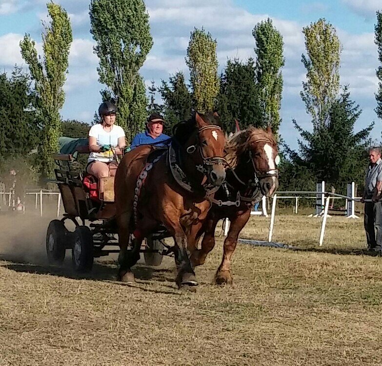 Reiterfest in Herrmannsacker