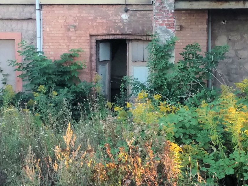 An der Zeppelinbr&uuml;cke