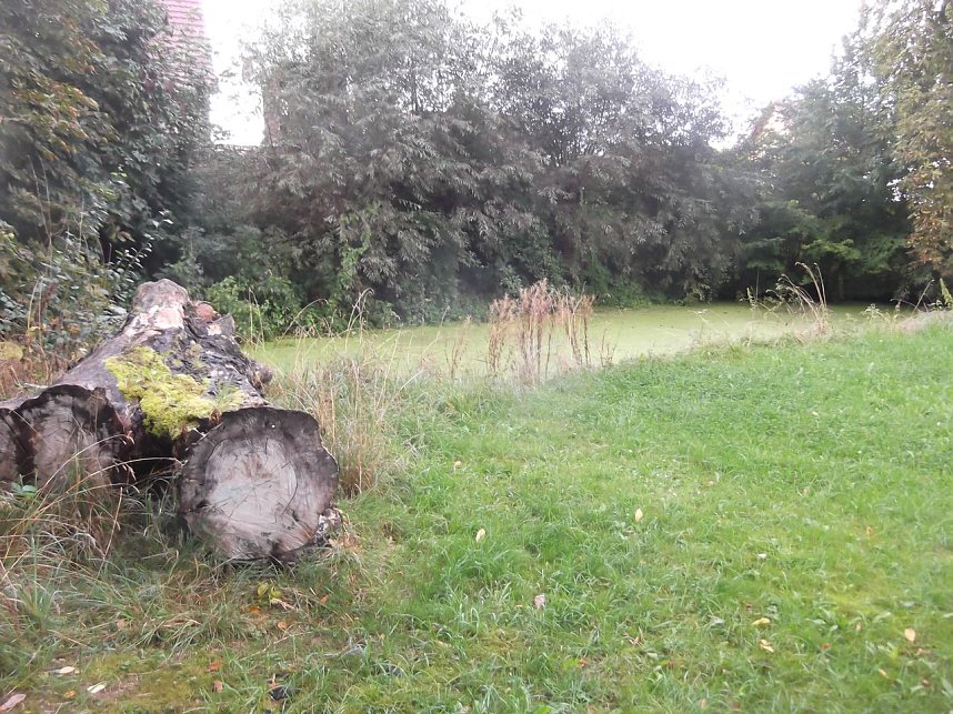 BI k&auml;mpft f&uuml;r den Erhalt des Parks in Werther