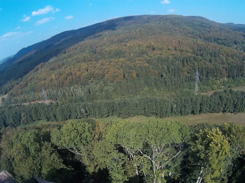 Burgruine Hohnstein von "oben"