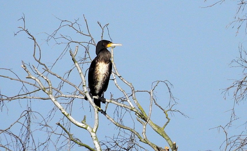 Rundgang am Sollnitzer See