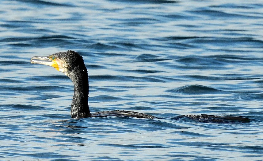 Rundgang am Sollnitzer See