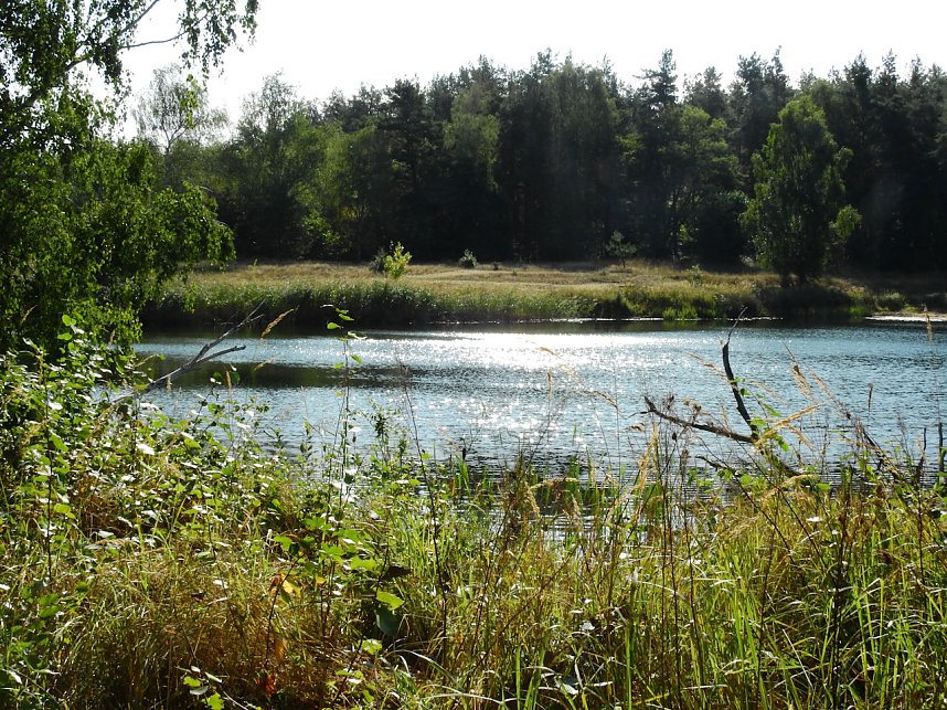 Rundgang am Sollnitzer See