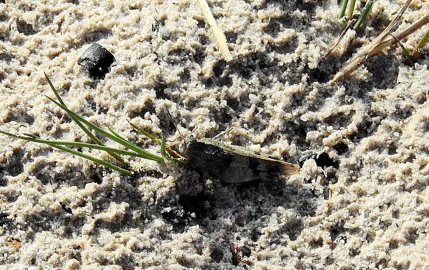 Rundgang am Sollnitzer See