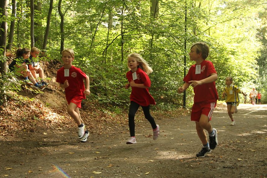 Nordh&auml;user Herbstcrosslauf 2016