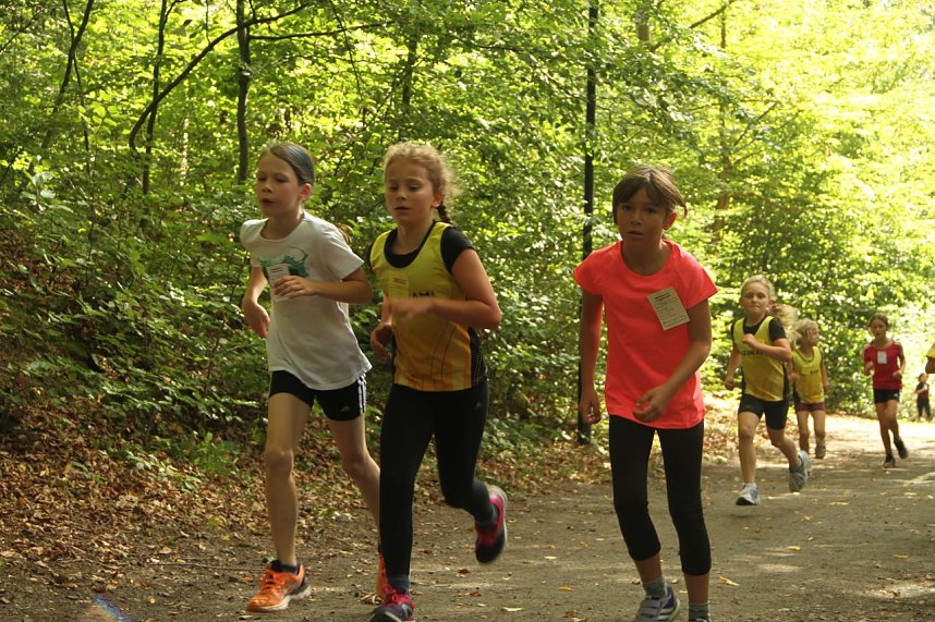 Nordh&auml;user Herbstcrosslauf 2016