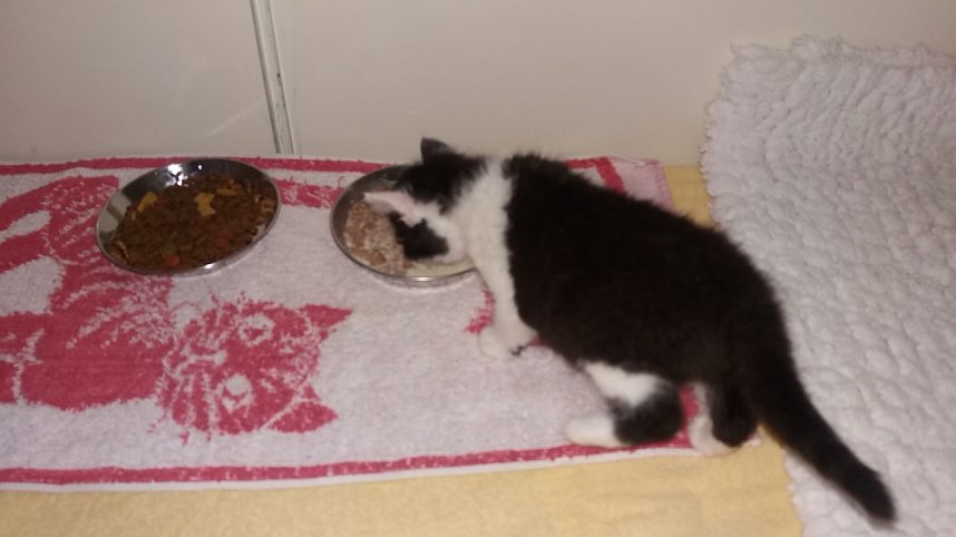 Danke f&uuml;r Hilfe und Unterst&uuml;tzung