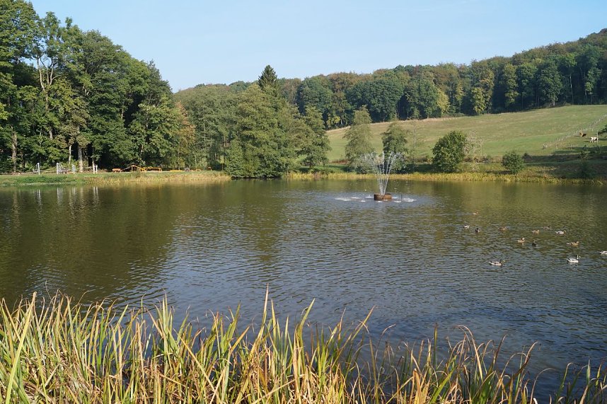 Wanderung rund um Neustadt