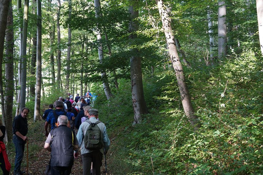 Wanderung rund um Neustadt