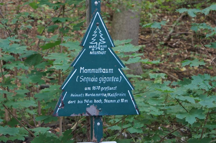 Wanderung rund um Neustadt