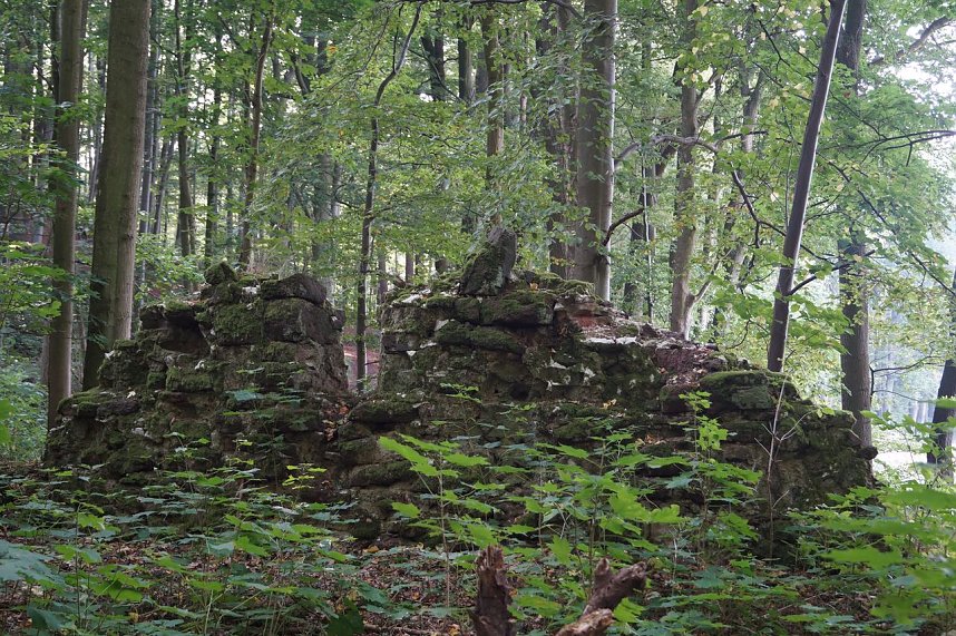 Wanderung rund um Neustadt