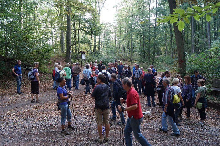 Wanderung rund um Neustadt