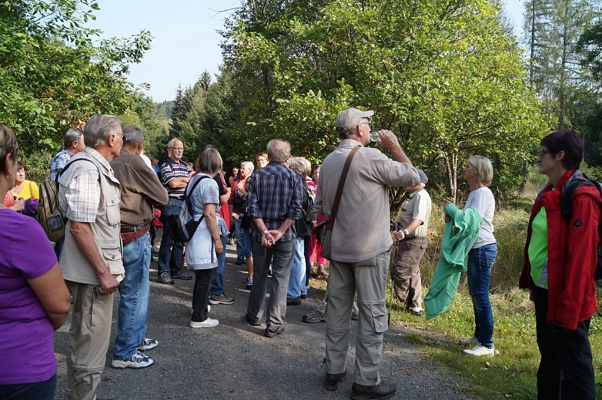 Wanderung rund um Neustadt