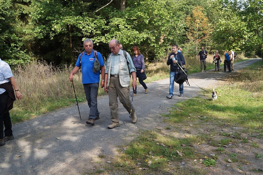 Wanderung rund um Neustadt