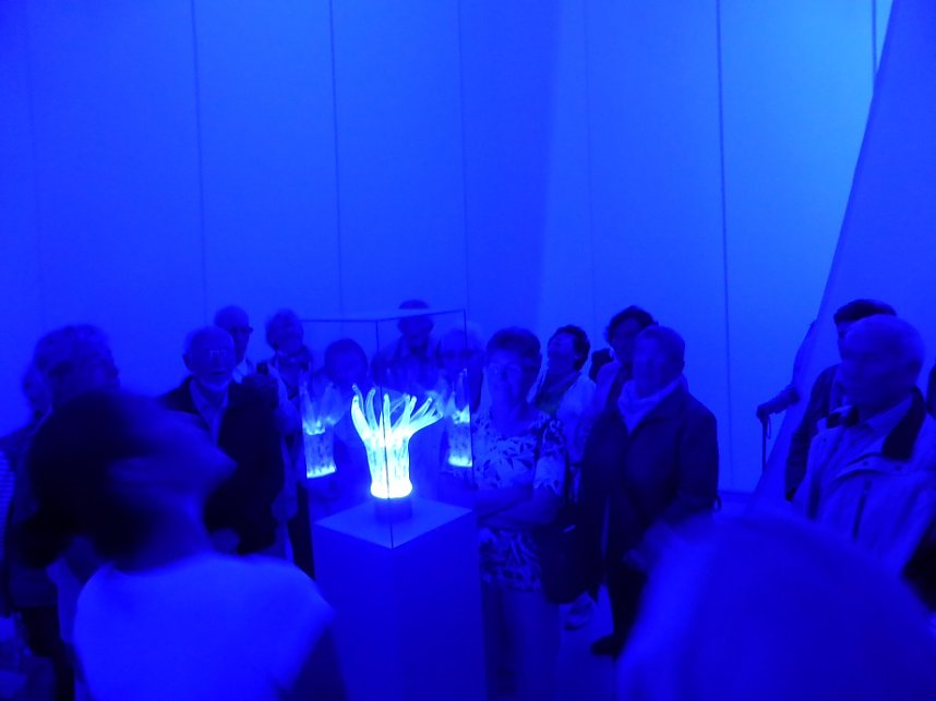 Herzsportgruppe war unterwegs