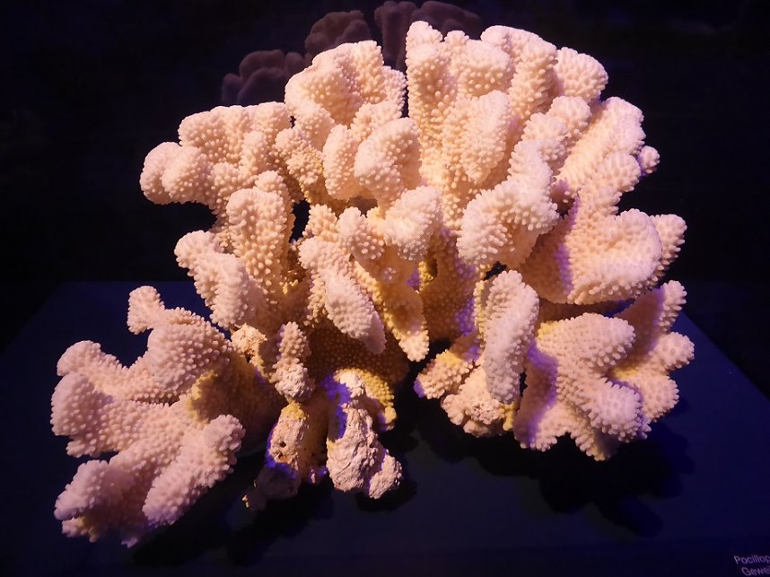 Herzsportgruppe war unterwegs