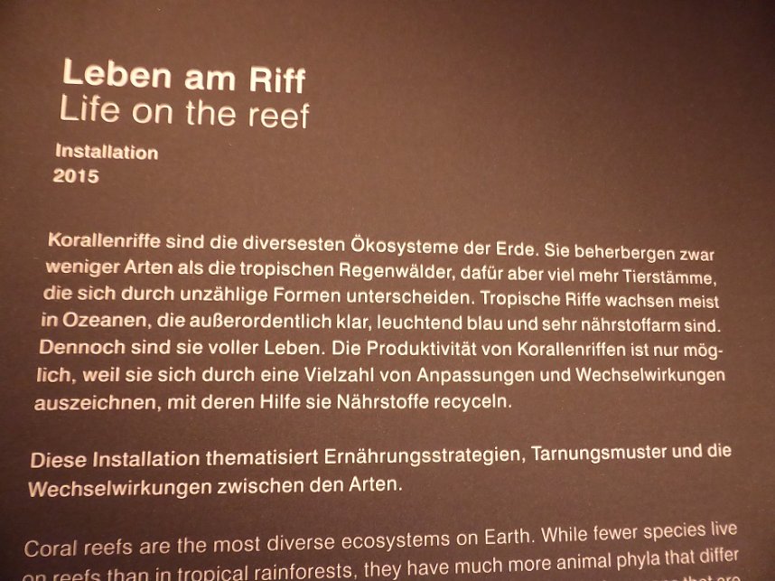 Herzsportgruppe war unterwegs